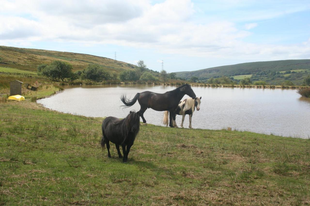 Coynant Farm Guesthouse - Farm Park Stay Swansea Exterior foto